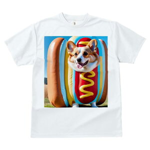 R[M[ TVc fB[X t@  t  vg JWA 킢 lԗp h ̃fUC ʔ zbghbO R[M[ 