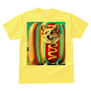 R[M[ TVc Y LbY t@  t  vg JWA 킢 lԗp h ̃fUC ʔ zbghbO R[M[ 