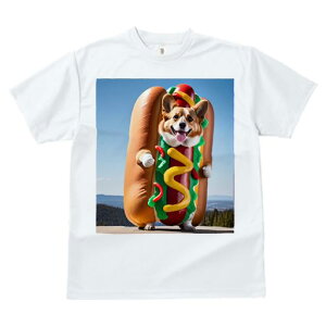 R[M[ TVc Y LbY t@  t  vg JWA 킢 lԗp h ̃fUC ʔ zbghbO R[M[ \[Z[W }X^[h P`bv