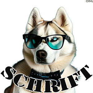 Kl VxAnXL[ lN^C NbVJo[ 45×45cm Aj}   NbV{̕t ` t@