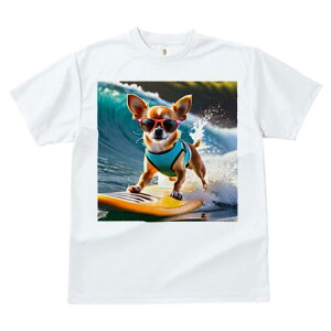 ` TVc Y LbY t@  t  vg JWA 킢 lԗp h ̃fUC ʔ T[tB ` C g TOX