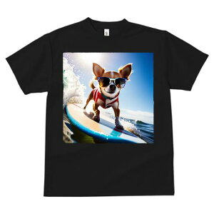 ` TVc fB[X t@  t  vg JWA 킢 lԗp h ̃fUC ʔ T[tB ` C g TOX