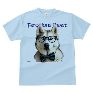 VxAnXL[ TVc Y LbY t@  t  vg JWA 킢 lԗp h ̃fUC ʔ Kl VxAnXL[ lN^C