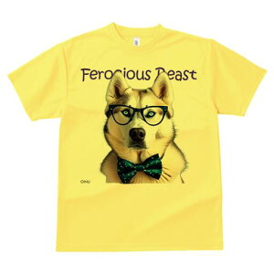 VxAnXL[ TVc Y LbY t@  t  vg JWA 킢 lԗp h ̃fUC ʔ Kl VxAnXL[ lN^C