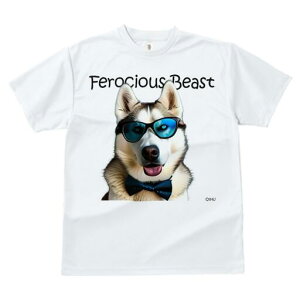 VxAnXL[ TVc fB[X t@  t  vg JWA 킢 lԗp h ̃fUC ʔ lN^C VxAnXL[ TOX