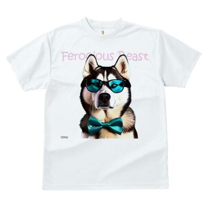 VxAnXL[ TVc fB[X t@  t  vg JWA 킢 lԗp h ̃fUC ʔ TOX VxAnXL[ lN^C