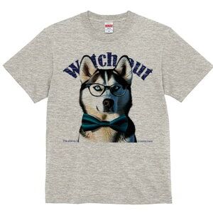 VxAnXL[ TVc Y LbY t@  t  vg JWA 킢 lԗp h ̃fUC ʔ Kl VxAnXL[ lN^C