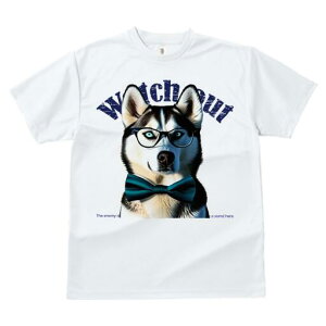 VxAnXL[ TVc Y LbY t@  t  vg JWA 킢 lԗp h ̃fUC ʔ Kl VxAnXL[ lN^C