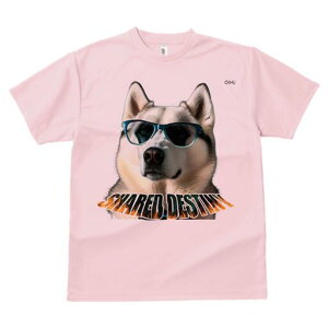 VxAnXL[ TVc Y LbY t@  t  vg JWA 킢 lԗp h ̃fUC ʔ Kl VxAnXL[