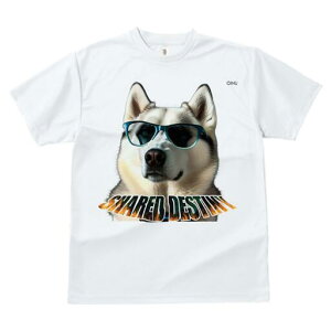 VxAnXL[ TVc Y LbY t@  t  vg JWA 킢 lԗp h ̃fUC ʔ Kl VxAnXL[