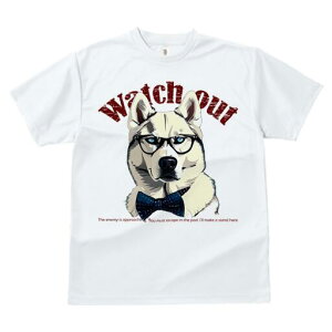 VxAnXL[ TVc Y LbY t@  t  vg JWA 킢 lԗp h ̃fUC ʔ Kl VxAnXL[ lN^C Watch out