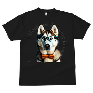 VxAnXL[ TVc fB[X t@  t  vg JWA 킢 lԗp h ̃fUC ʔ Kl VxAnXL[ lN^C