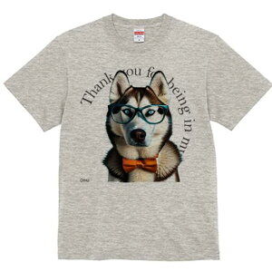 VxAnXL[ TVc Y LbY t@  t  vg JWA 킢 lԗp h ̃fUC ʔ Kl VxAnXL[ lN^C