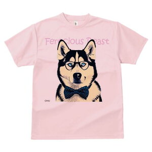 VxAnXL[ TVc Y LbY t@  t  vg JWA 킢 lԗp h ̃fUC ʔ Kl VxAnXL[ lN^C