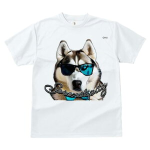 VxAnXL[ TVc fB[X t@  t  vg JWA 킢 lԗp h ̃fUC ʔ TOX VxAnXL[ lN^C