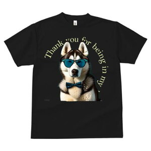 VxAnXL[ TVc fB[X t@  t  vg JWA 킢 lԗp h ̃fUC ʔ TOX VxAnXL[ lN^C