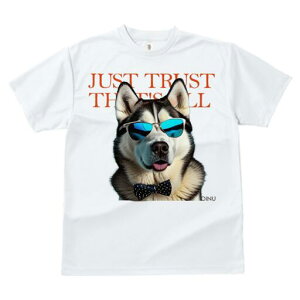 VxAnXL[ TVc fB[X t@  t  vg JWA 킢 lԗp h ̃fUC ʔ TOX VxAnXL[ lN^C