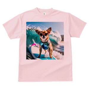 ` TVc Y LbY t@  t  vg JWA 킢 lԗp h ̃fUC ʔ TOX ` T[tB g C