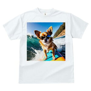 ` TVc fB[X t@  t  vg JWA 킢 lԗp h ̃fUC ʔ TOX ` T[tB g C