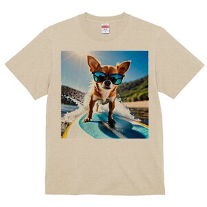 ` TVc Y LbY t@  t  vg JWA 킢 lԗp h ̃fUC ʔ TOX ` T[tB C