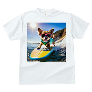 ` TVc fB[X t@  t  vg JWA 킢 lԗp h ̃fUC ʔ T[tB ` C  z