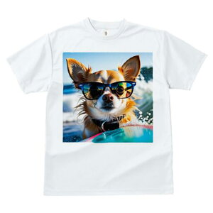 ` TVc fB[X t@  t  vg JWA 킢 lԗp h ̃fUC ʔ TOX ` C g T[t{[h