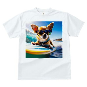 ` TVc fB[X t@  t  vg JWA 킢 lԗp h ̃fUC ʔ TOX ` T[tB C g