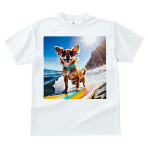 ` TVc fB[X t@  t  vg JWA 킢 lԗp h ̃fUC ʔ TOX ` T[tB C g