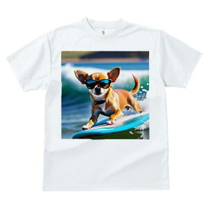 ` TVc fB[X t@  t  vg JWA 킢 lԗp h ̃fUC ʔ TOX ` T[tB C