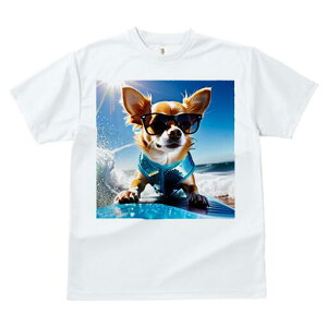 ` TVc fB[X t@  t  vg JWA 킢 lԗp h ̃fUC ʔ TOX ` T[tB C 