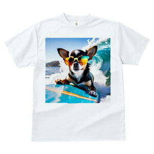 ` TVc fB[X t@  t  vg JWA 킢 lԗp h ̃fUC ʔ TOX ` T[tB g