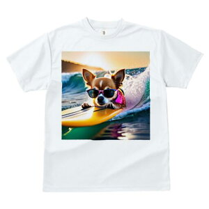 ` TVc fB[X t@  t  vg JWA 킢 lԗp h ̃fUC ʔ TOX ` T[tB C g