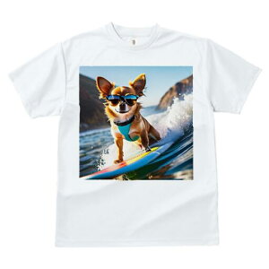 ` TVc fB[X t@  t  vg JWA 킢 lԗp h ̃fUC ʔ TOX ` T[tB C g