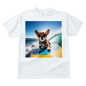 ` TVc fB[X t@  t  vg JWA 킢 lԗp h ̃fUC ʔ TOX ` T[tB g C