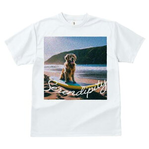 S[fgo[ TVc fB[X t@  t  vg JWA 킢 lԗp h ̃fUC ʔ r[` S[fgo[ T[t{[h C g