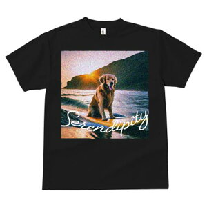 S[fgo[ TVc fB[X t@  t  vg JWA 킢 lԗp h ̃fUC ʔ g S[fgo[ C [Ă T[tB