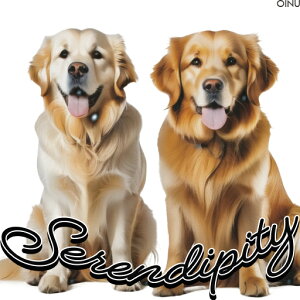 �S�[���f�����g���o�[ �N�b�V�����J�o�[ 45×45cm �A�j�}���� ������� ���� �N�b�V�����{�̕t�� �����` ���t�@��