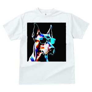 h[x} TVc fB[X t@  t  vg JWA 킢 lԗp h ̃fUC ʔ TOX h[x}