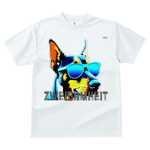 h[x} TVc fB[X t@  t  vg JWA 킢 lԗp h ̃fUC ʔ TOX h[x}