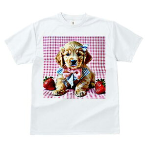 S[fgo[ TVc fB[X t@  t  vg JWA 킢 lԗp h ̃fUC ʔ  S[fgo[ { `FbN