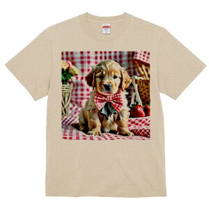 S[fgo[ TVc Y LbY t@  t  vg JWA 킢 lԗp h ̃fUC ʔ sNjbN S[fgo[   