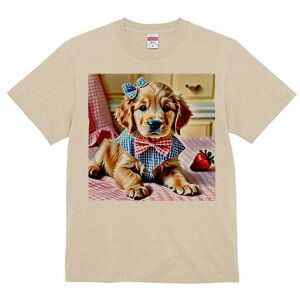 S[fgo[ TVc Y LbY t@  t  vg JWA 킢 lԗp h ̃fUC ʔ  S[fgo[ { lN^