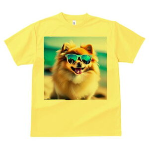 |jA TVc Y LbY t@  t  vg JWA 킢 lԗp h ̃fUC ʔ TOX |jA r[`  C