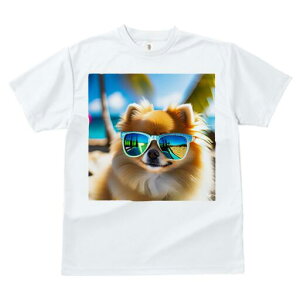 |jA TVc fB[X t@  t  vg JWA 킢 lԗp h ̃fUC ʔ TOX |jA r[`  ][g