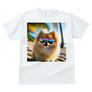 |jA TVc fB[X t@  t  vg JWA 킢 lԗp h ̃fUC ʔ TOX |jA r[`  ][g