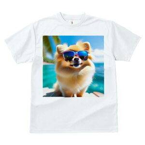 |jA TVc fB[X t@  t  vg JWA 킢 lԗp h ̃fUC ʔ TOX |jA C  ][g