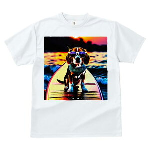 r[O TVc fB[X t@  t  vg JWA 킢 lԗp h ̃fUC ʔ T[tB r[O C [ TOX