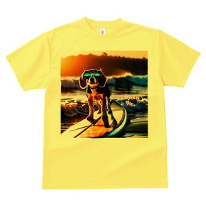 r[O TVc Y LbY t@  t  vg JWA 킢 lԗp h ̃fUC ʔ T[tB r[O C [ TOX