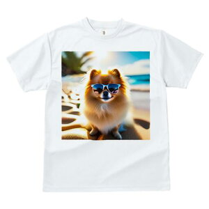 |jA TVc fB[X t@  t  vg JWA 킢 lԗp h ̃fUC ʔ TOX |jA r[` C 