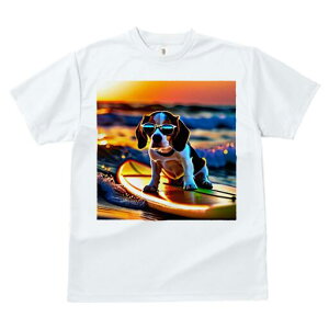 r[O TVc fB[X t@  t  vg JWA 킢 lԗp h ̃fUC ʔ TOX r[O T[t{[h C [Ă